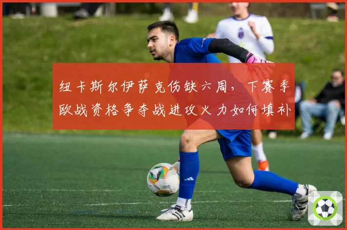 纽卡斯尔伊萨克伤缺六周，下赛季欧战资格争夺战进攻火力如何填补？