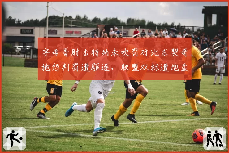 字母哥肘击特纳未吹罚对比东契奇抱怨判罚遭驱逐,联盟双标遭炮轰